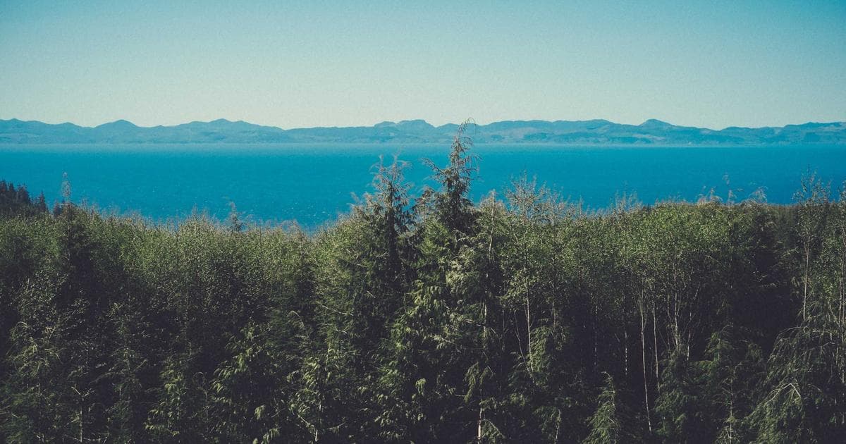 Trump Weighs Dual-Track Strategy on Iran with Potential Military Strikes and Nuclear Talks