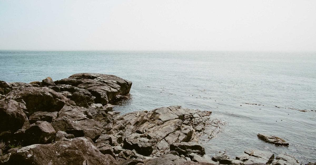 Rory McIlroy Secures Second at Genesis Invitational as Jacob Bridgeman Holds Off Sunday Charge