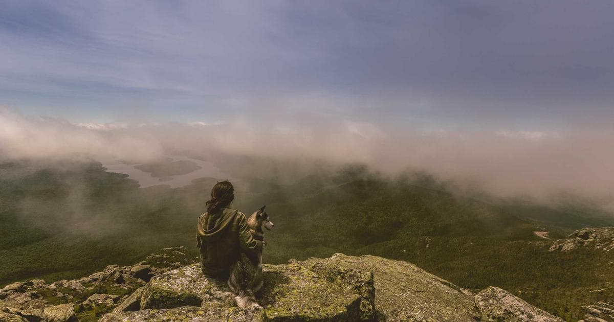 Aidan Gillen Crime Caper 'Tall Tales & Murder' Secures Major International Sales Ahead of Premiere