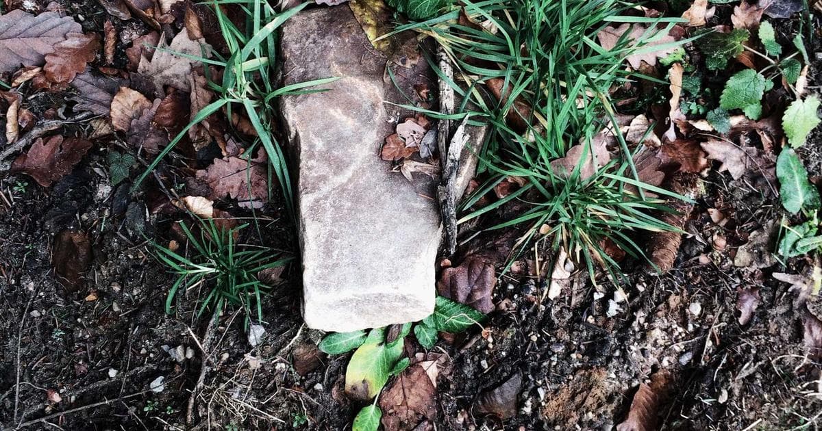 Travel Chaos Peaks as Global Entry Suspends Operations Amid Shutdown and Severe Winter Storms