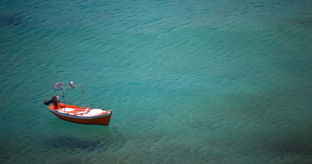 High Stakes for Trump’s State of the Union as DHS Shutdown Looms