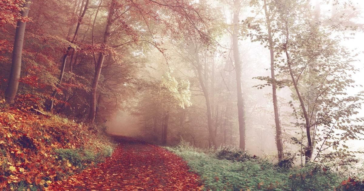 PlayStation Plus March 2026: Subscribers Anticipate High-Value Lineup Amid Official Reveal Countdown