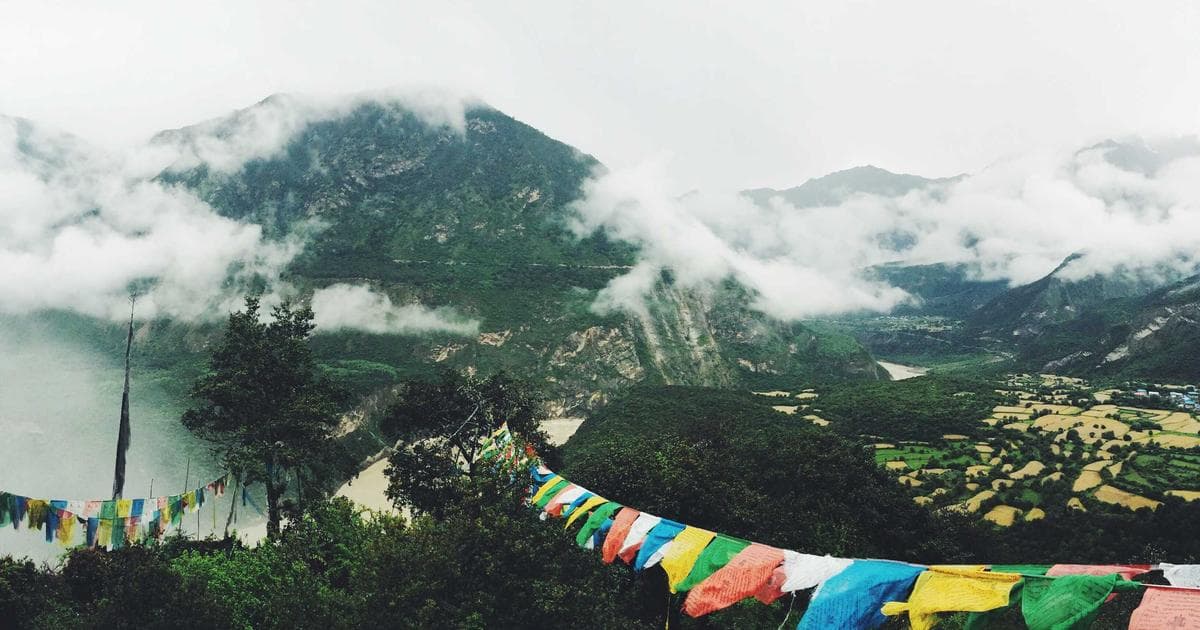 Gilead Sciences to Acquire Oncology Partner Arcellx in $7.8 Billion Buyout