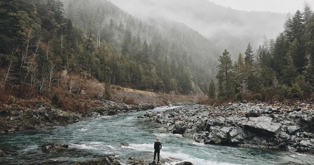 Beyond Plastic: How Thrift Store Treasures Are Redefining Kitchen Organization