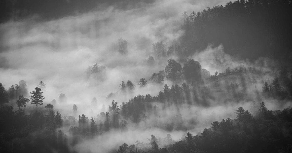 Pentagon Issues Ultimatum to Anthropic Over Military AI Restrictions