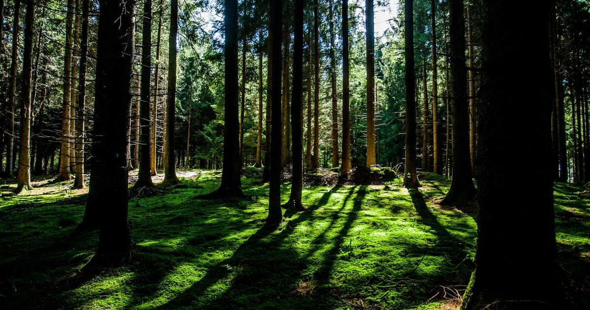 Israel Targets Turkiye as New Regional Threat Amid Push for 'Hexagon' Alliance