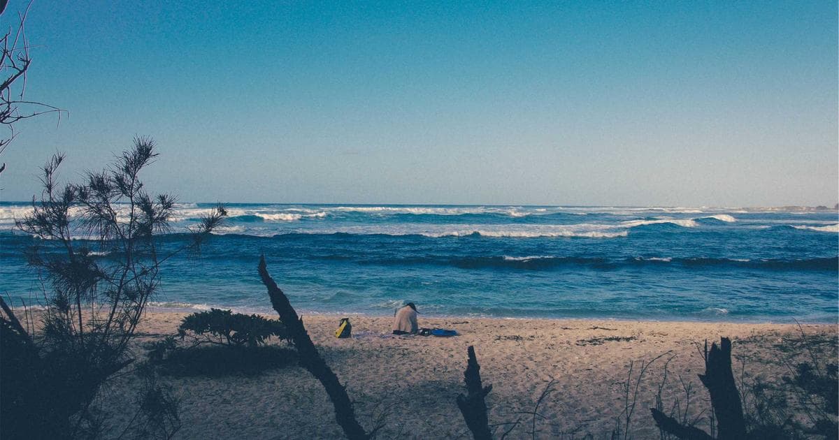 The Viral Evolution of Cowboy Butter: Why the Skillet Chicken Adaptation is Dominating Weeknight Menus