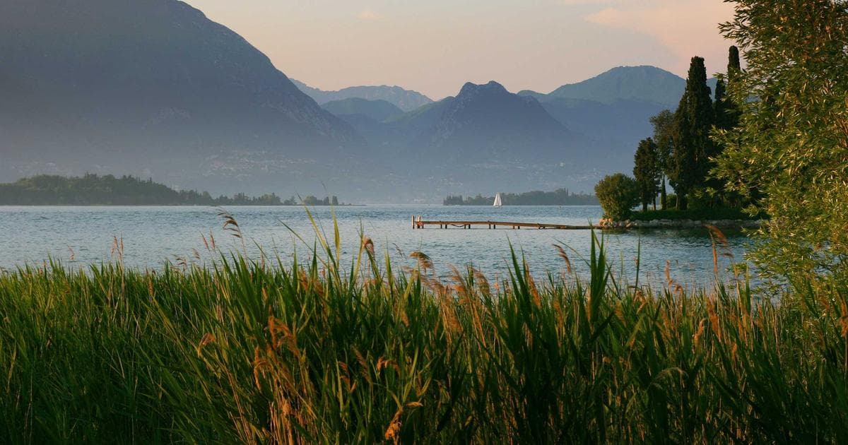 Tyler Reddick Makes History with Back-to-Back Wins in Record-Breaking Atlanta Thriller