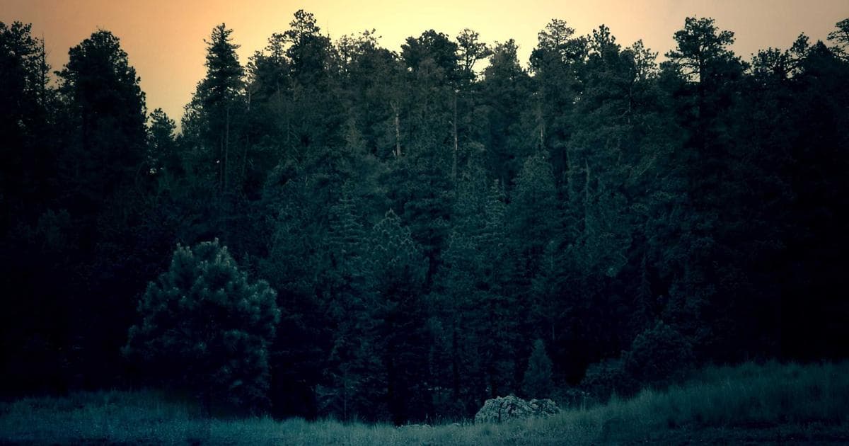 Trump Weighs Iran Airstrikes as Kushner and Witkoff Prepare for High-Stakes Geneva Negotiations