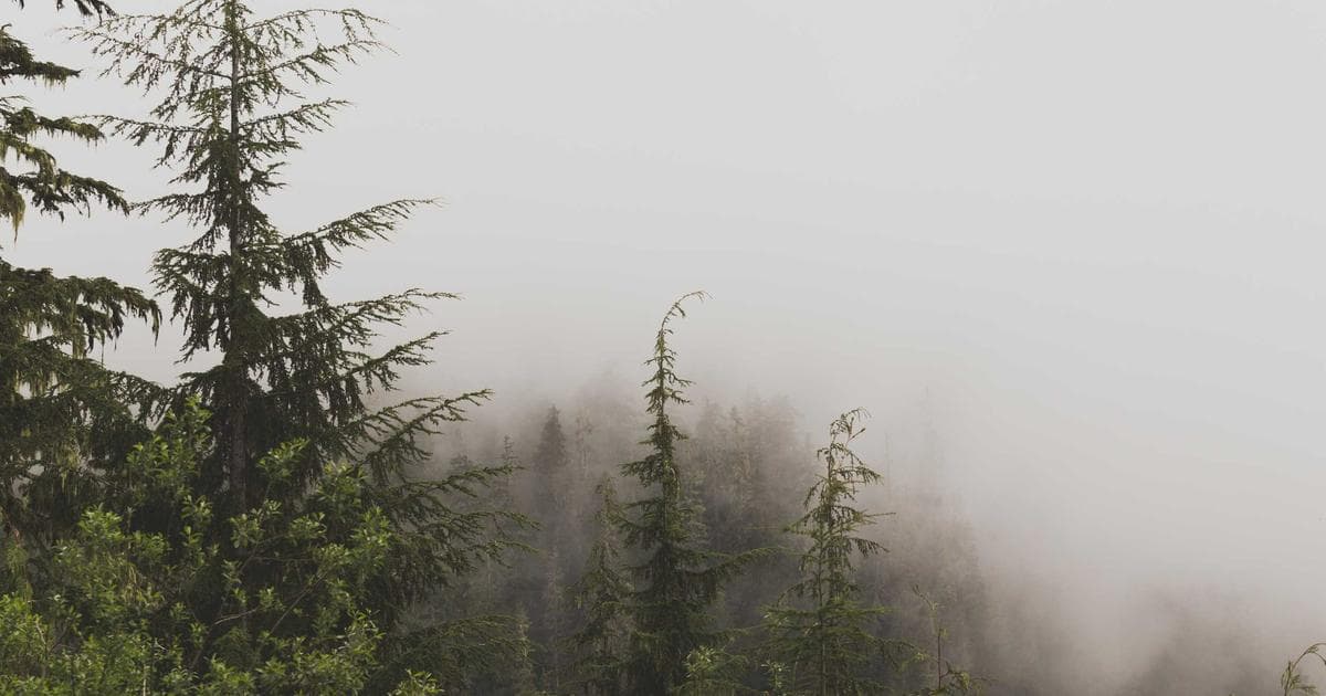 Trump Issues New Trade Threats to Global Partners Following Supreme Court Setback