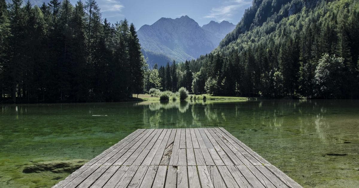 Starbucks Unveils New Pink Cannon Ball Drink as Beast Games Finale Approaches