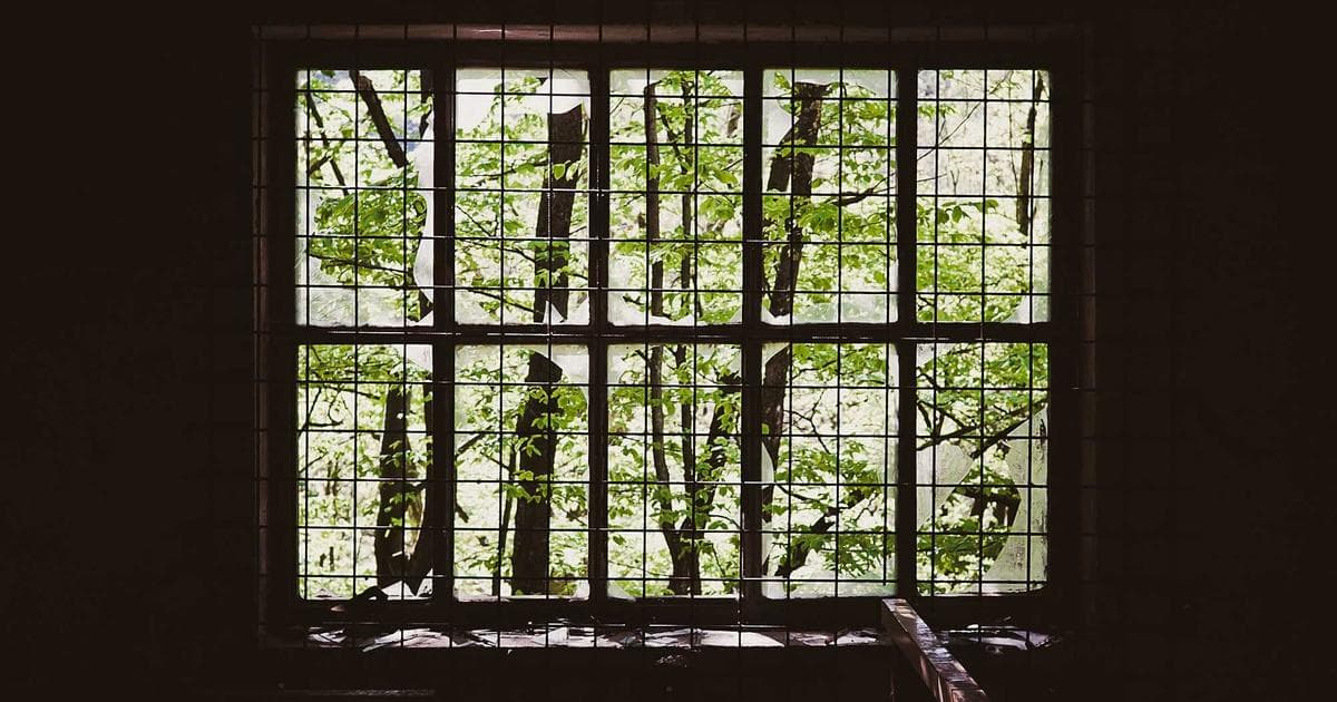 Best Treadmill Running Shoes 2026: Why Specialized Indoor Gear is Surging