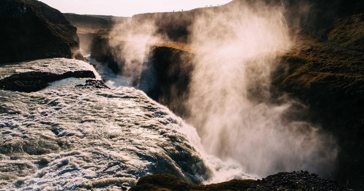 Tolu Arokodare Demands Accountability Following Online Racist Abuse