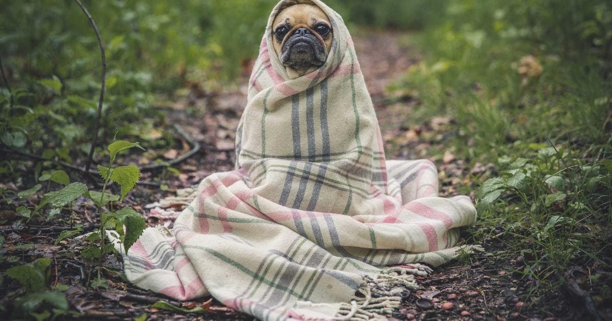 GOP Representative Tony Gonzales Faces Intense Resignation Pressure Over Alleged Affair