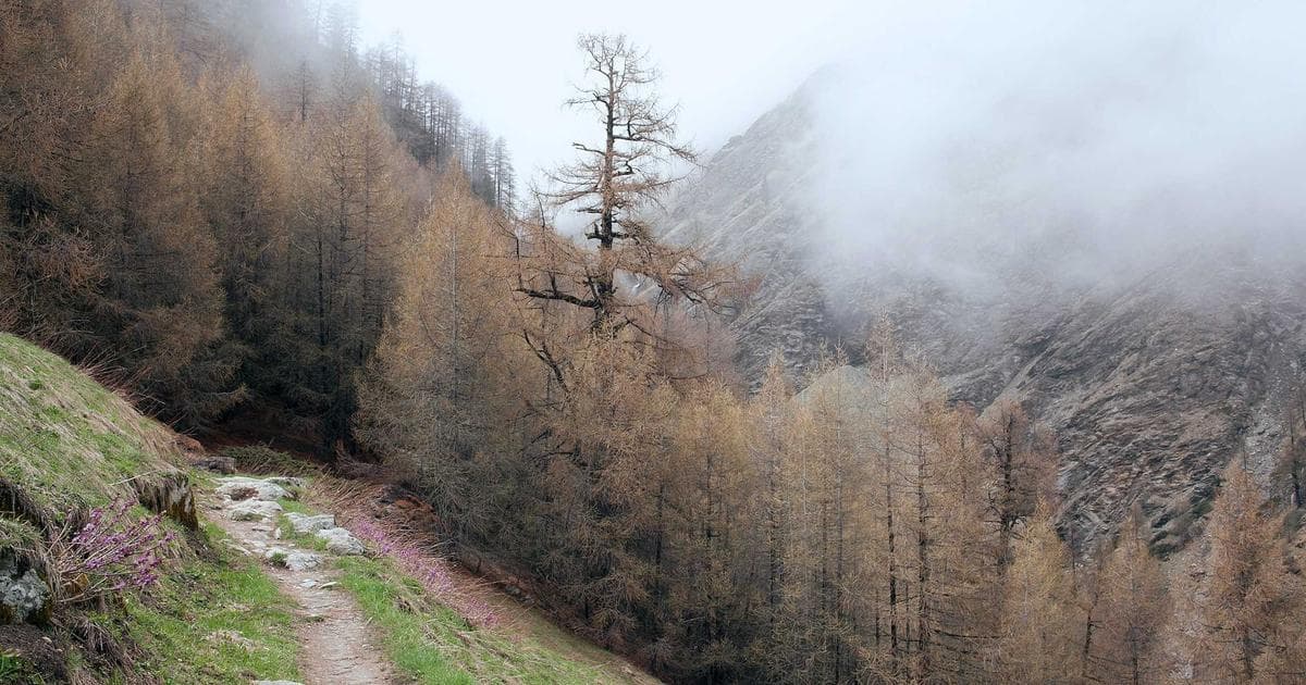 The Rise of the Walking Pad: How Under-Desk Treadmills Are Redefining the 2026 Workday