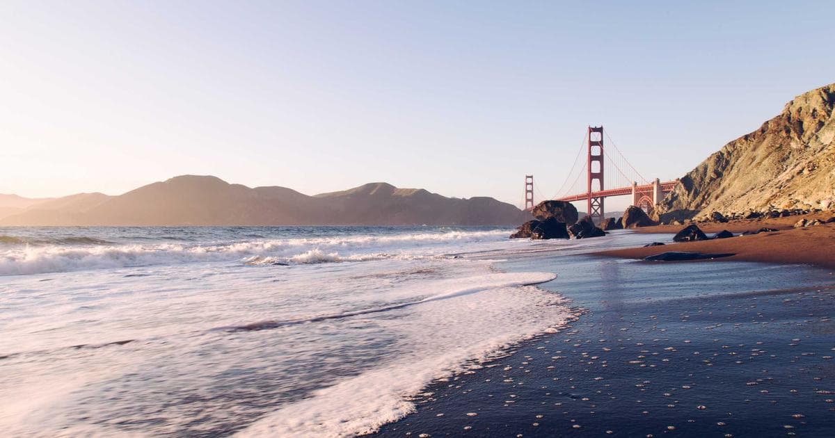 Unlocking the Cellular Courier: New Research Maps the Surface Proteins of Extracellular Vesicles