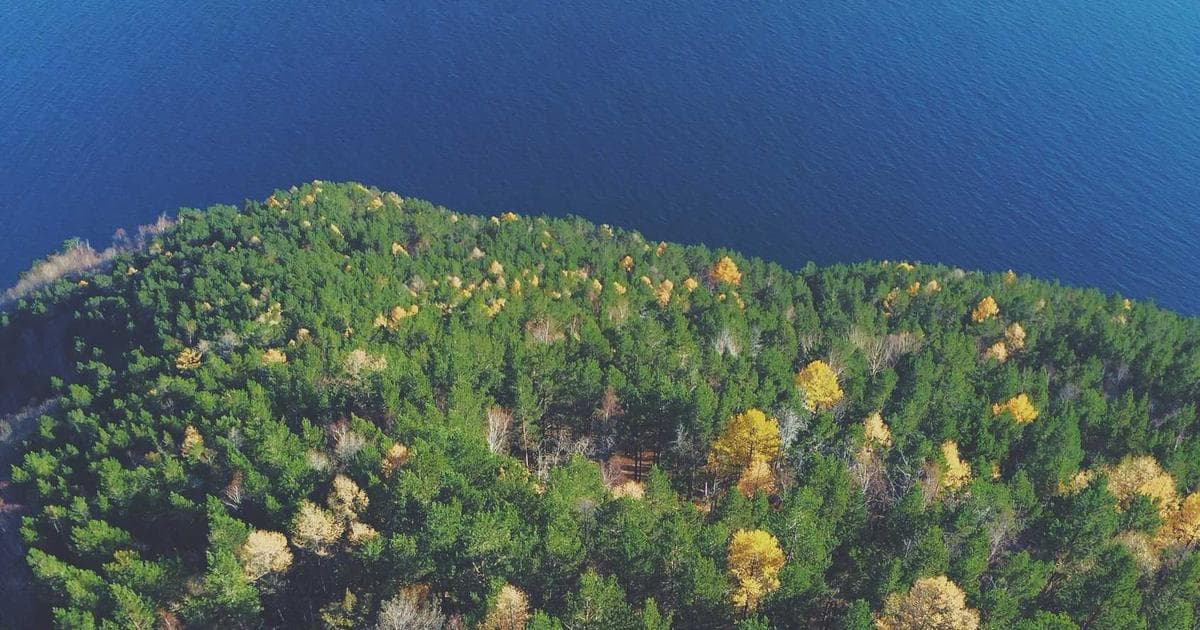 Apple to Shift Mac Mini Production to Houston Amid Global Supply Chain Realignment