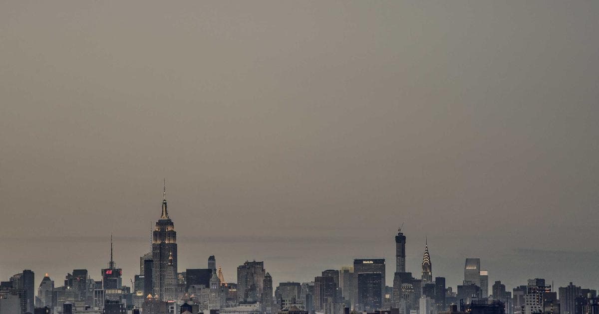 FBI Season 8 Resolves Nina Chase’s Most Wanted Arc with ‘Scolina’ Wedding