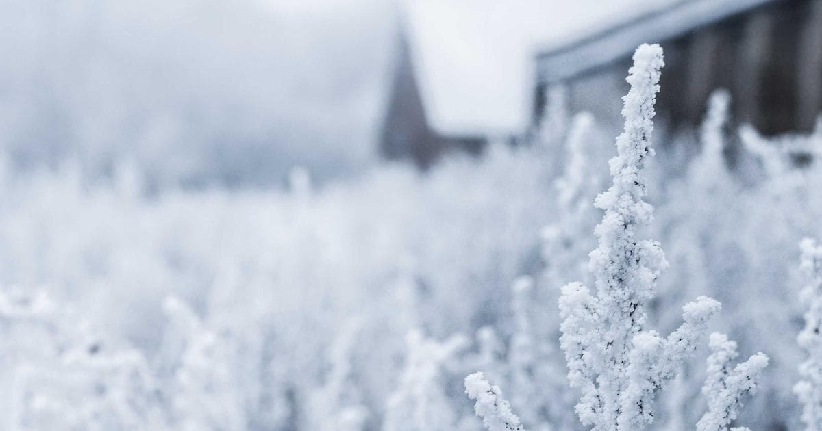 The Invisible Architecture: Why Probability Defines Modern Science and Engineering