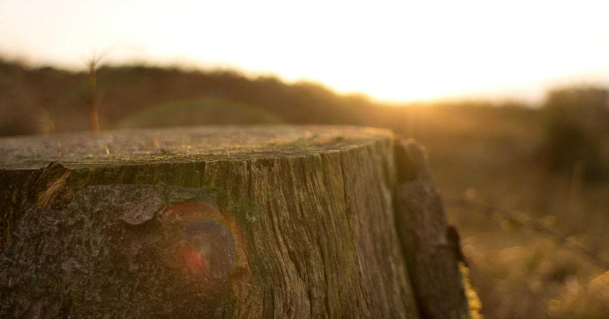 Global Trade in Turmoil as Trump Administration Pivots to Emergency Tariff Authority