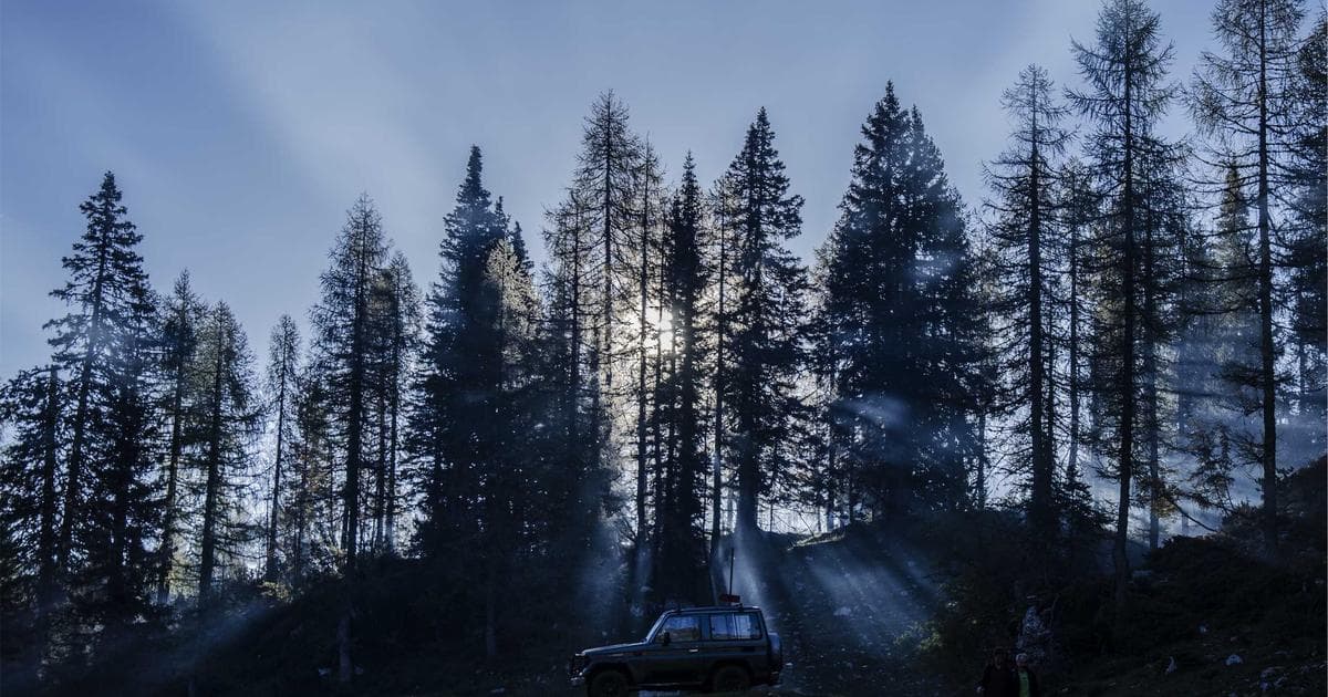 Robert Carradine’s Legacy Honored by Lizzie McGuire Cast After Actor Dies at 71