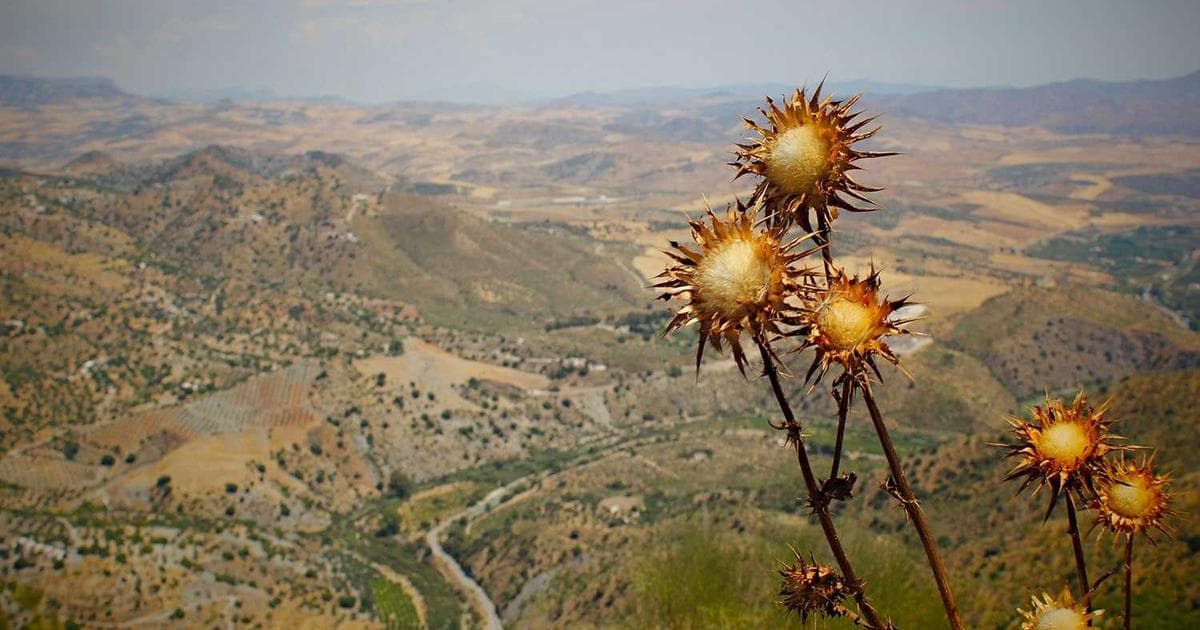 Utah’s Crimson Corridor: A Sophisticated Guide to Staging Your Zion National Park Adventure