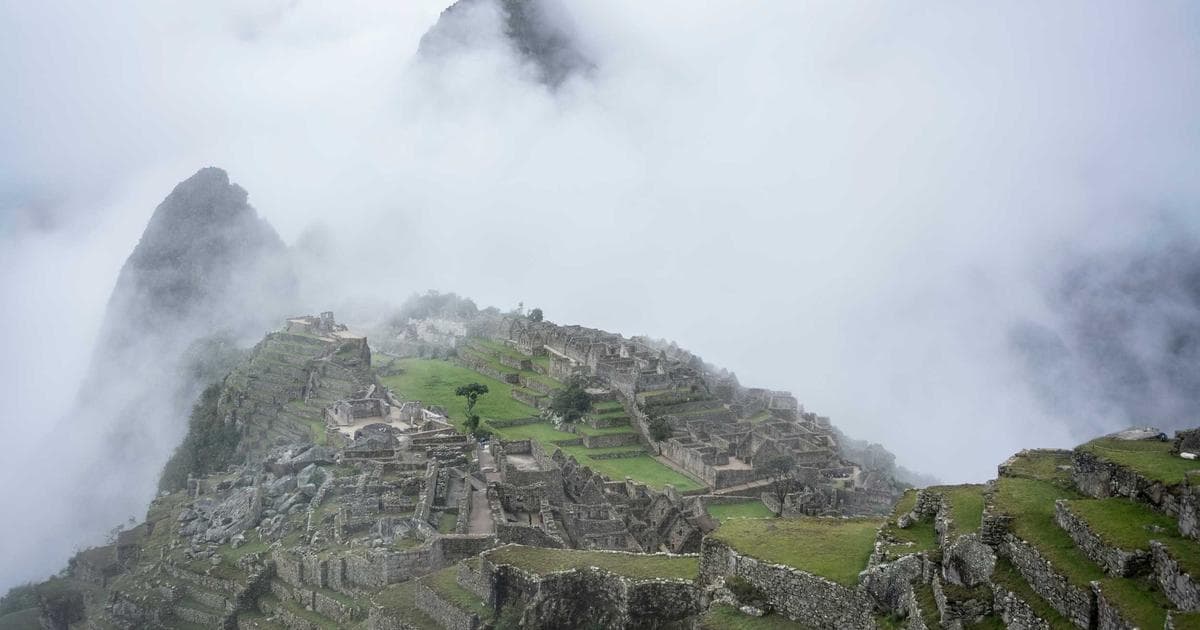 How to Transform Canned Beets into a Gourmet Side Dish with Two Simple Ingredients
