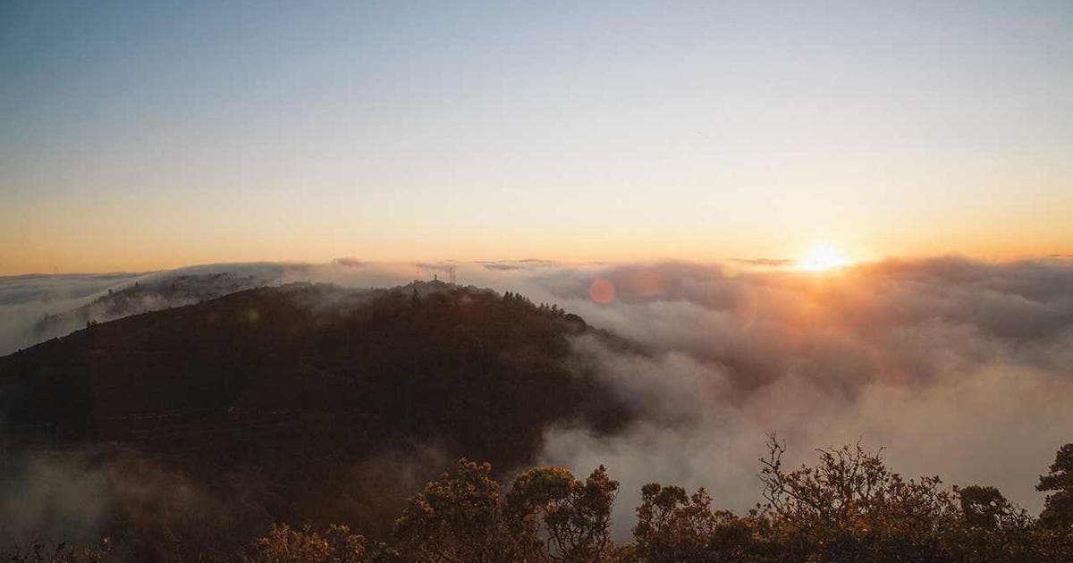 Jack in the Box Disrupts Fast Food Beverage Market with Nationwide Matcha Launch