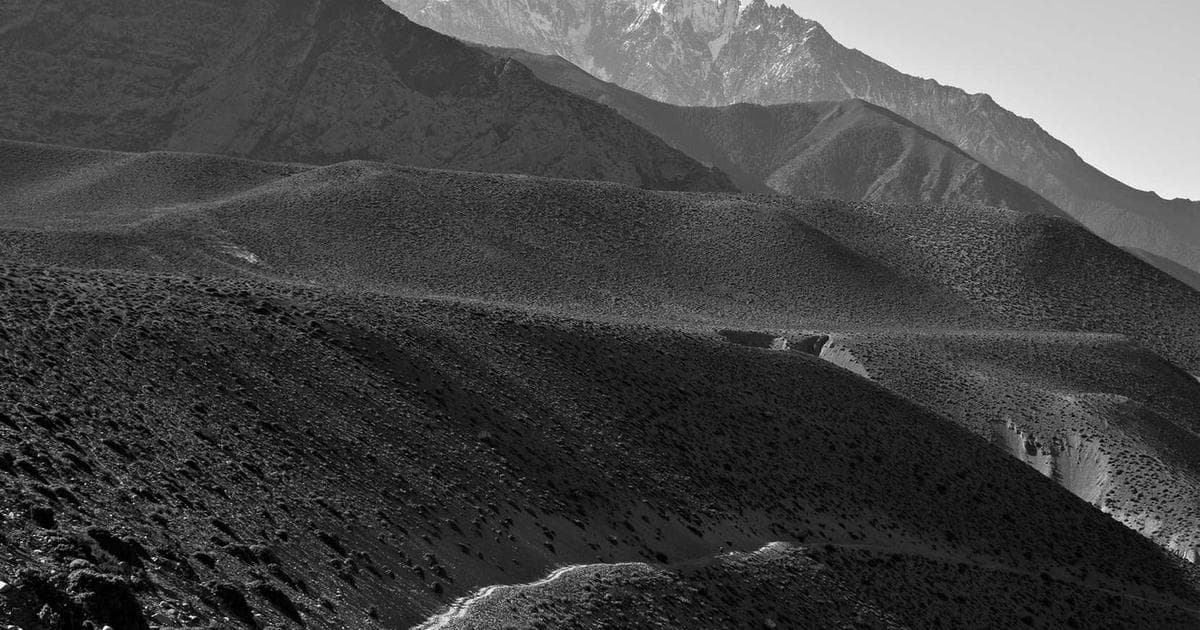 Biological Trojan Horse: Engineered Soil Bacteria Programmed to Consume Tumors from Within