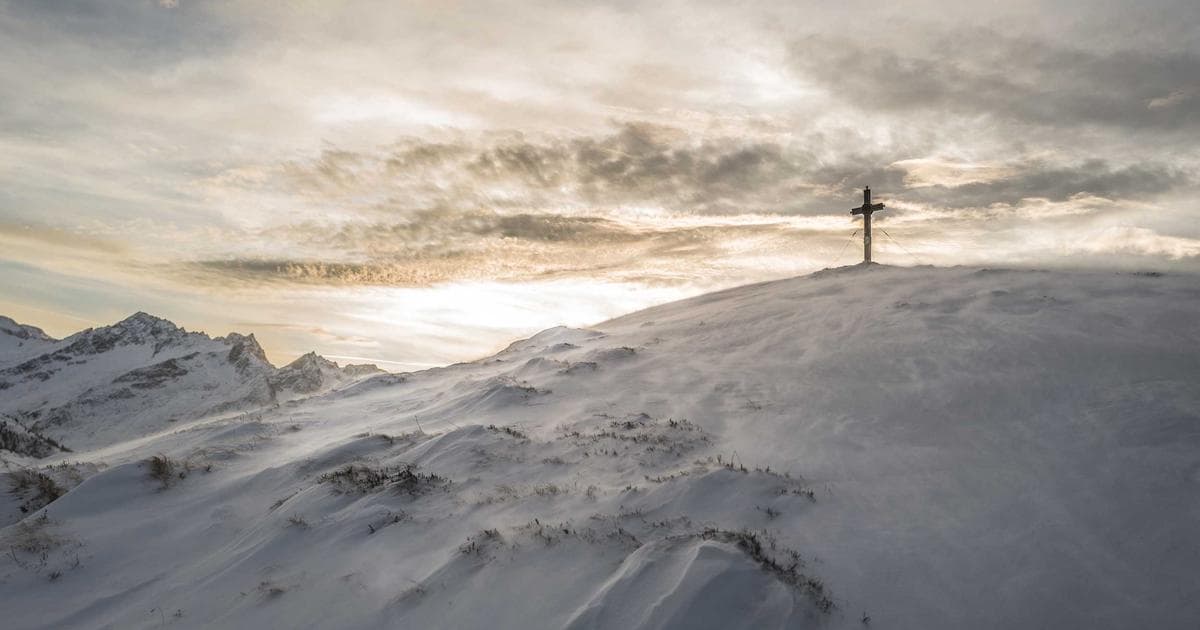 Convenience vs. Sustainability: Why Cascade ActionPacs Dominate the 2026 Dishwashing Market