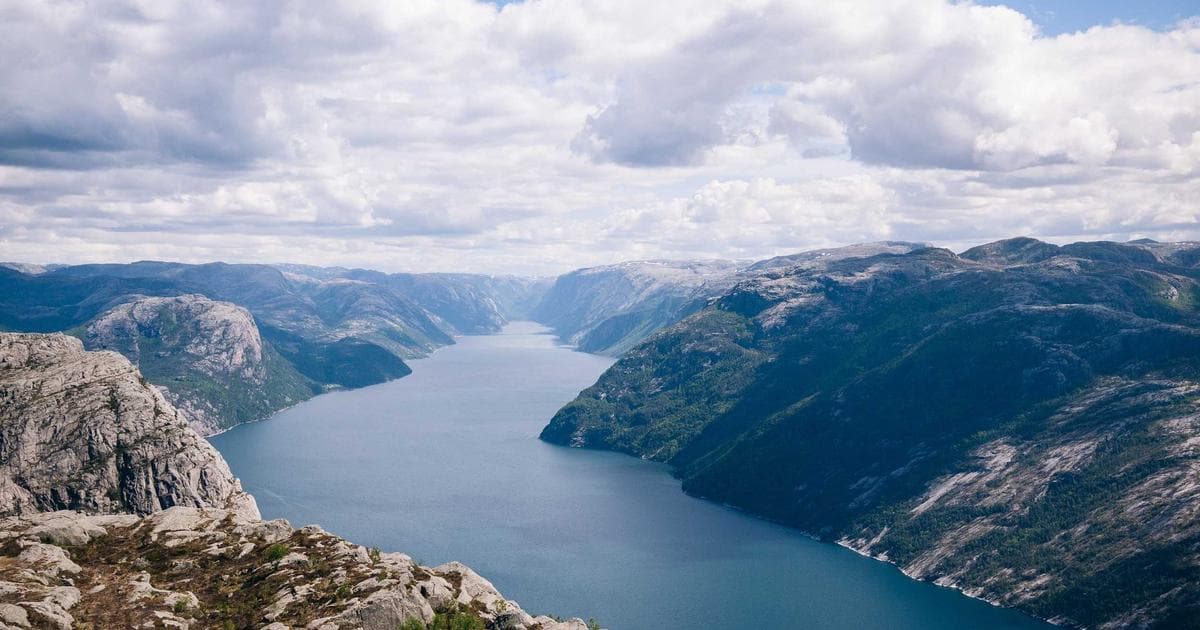 Why Your Body Clock Dictates Muscle Growth: The Science of Early Birds vs. Night Owls