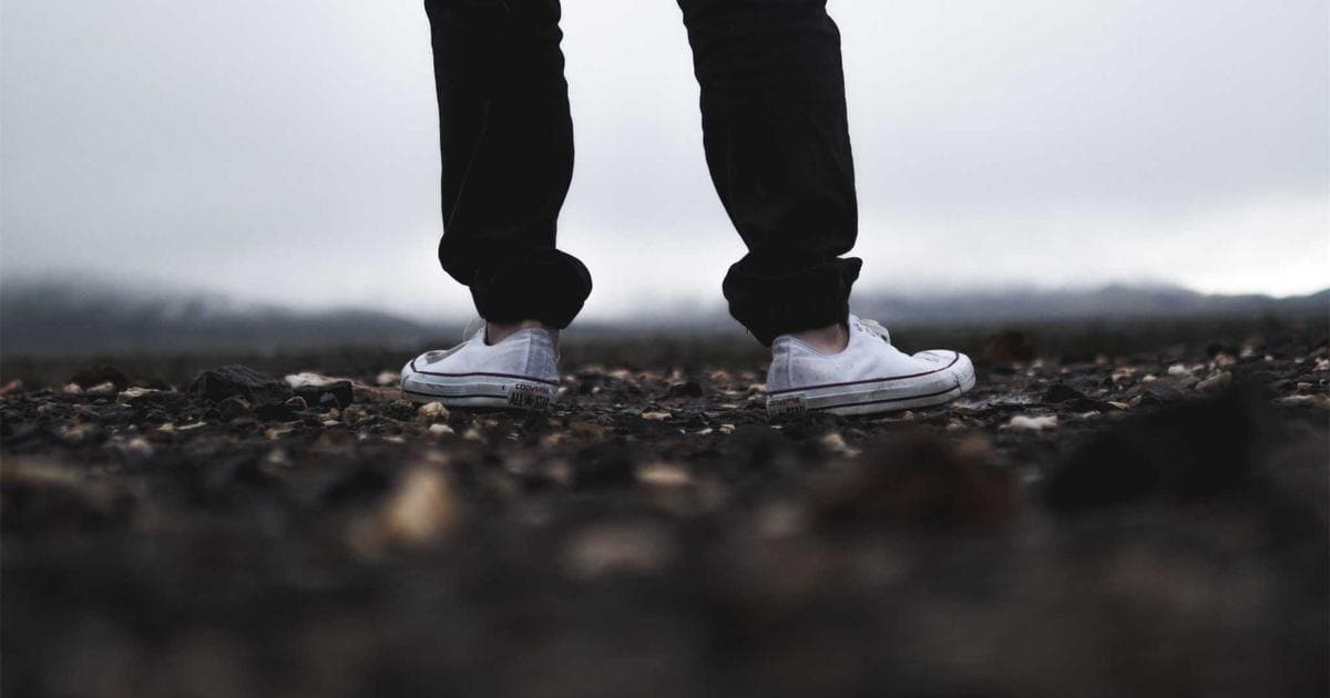 The 2026 Longevity Blueprint: Why Your Olive Oil Choice and Lunch Habits Define Metabolic Health