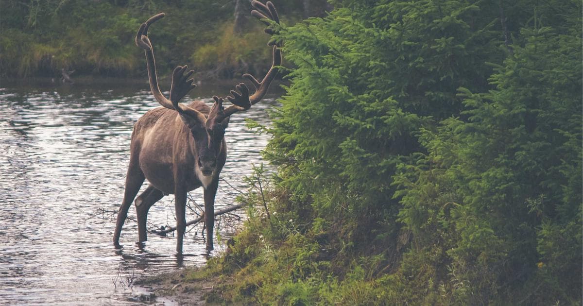 Miriam Margolyes Documentary ‘Made Me Me’ Set for BBC After Accidental Smartphone Production
