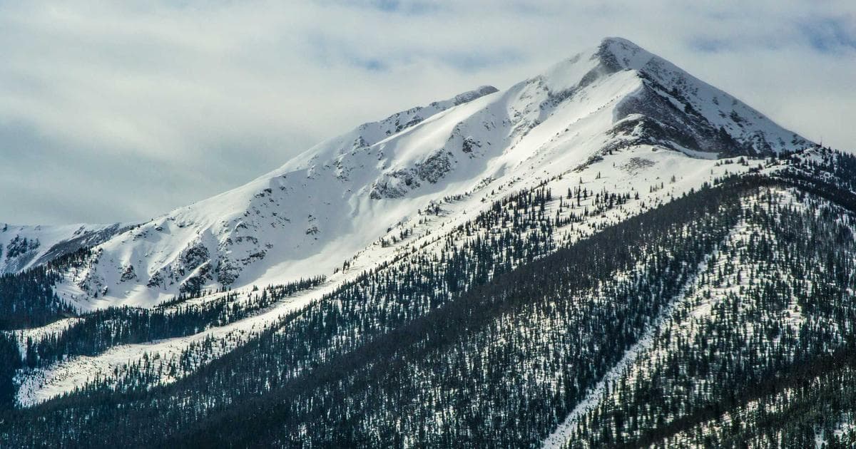 Ghost GDP: Why the 2028 Global Intelligence Crisis Essay is Rattling C-Suites