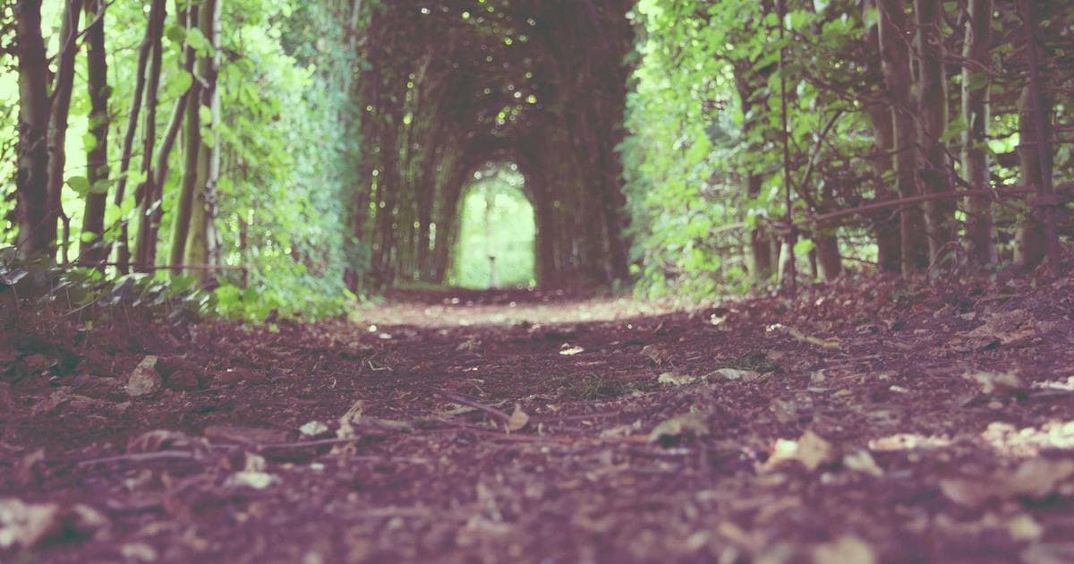 BAFTA Jury Member Resigns as Pressure Mounts Over BBC Slur Broadcast