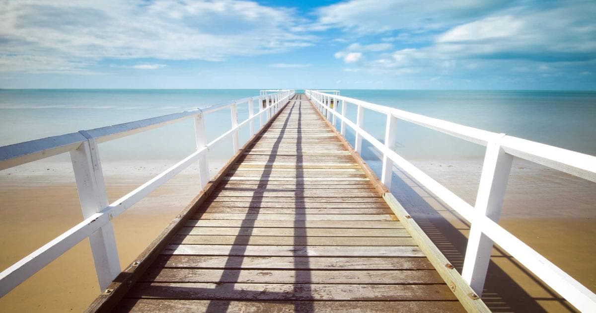 The Liver Clock: How Meal Consistency Regulates Molecular Metabolic Health