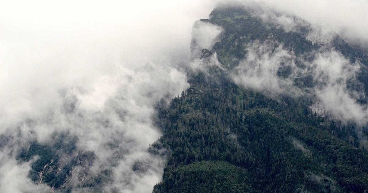 Northeast Travel Recovery: When Flights and Rail Will Resume After the Blizzard