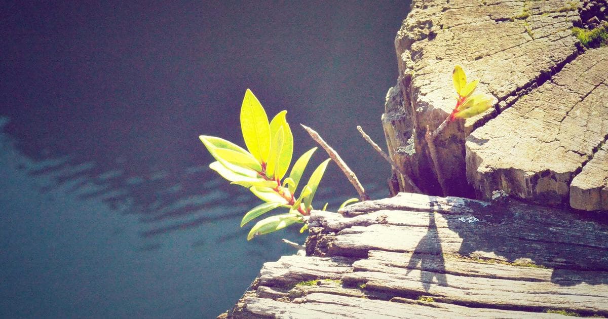 Inter Milan Targets Champions League Resurrection Against Bodo/Glimt at San Siro