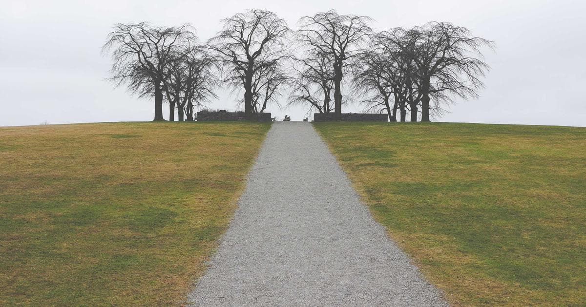 Home Depot Tops Earnings Estimates as ‘Frozen’ Housing Market Shows Signs of Thaw