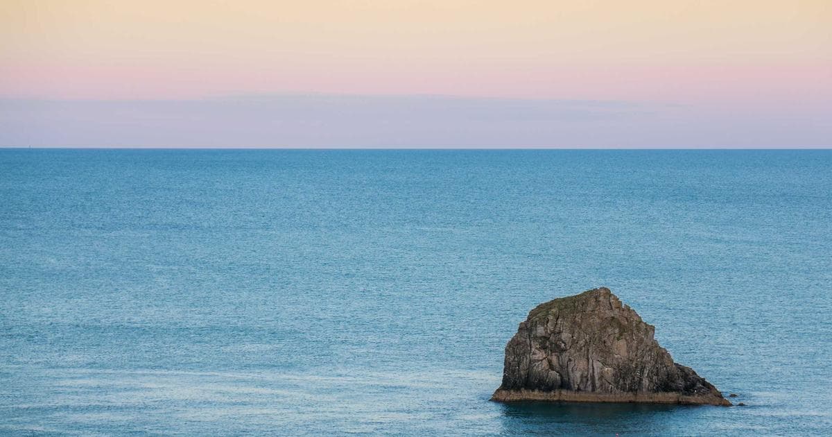 The Architecture of the Morning: How Strategic Batch-Prepping is Solving the Weekday Time Crunch