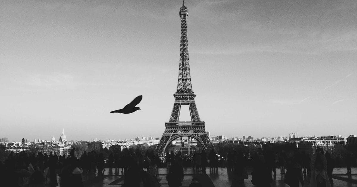 Mexico Travel Security Update: Jalisco and Nayarit Maintain Shelter-in-Place Following Cartel Unrest