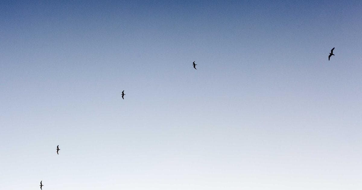 DJI Escalates US Ban Fight to Supreme Court Alleging Constitutional Violations