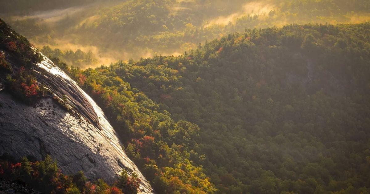 Antarctica's Gravity Hole: New Insights into Earth's Deep Interior Evolution