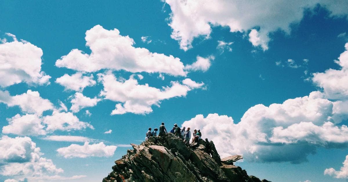 The Rise of 'Chicken of the Trees': Why Floridians Are Putting Green Iguanas on the Menu