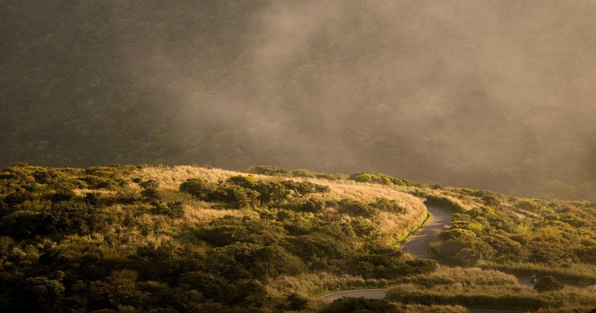 Constantin Entertainment Pivots to Vertical Drama with Multi-Series Microdrama Deal