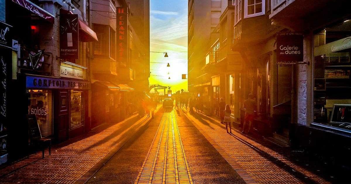 Beyond the Serum: How Eggshell Membrane is Redefining Internal Skin and Joint Care