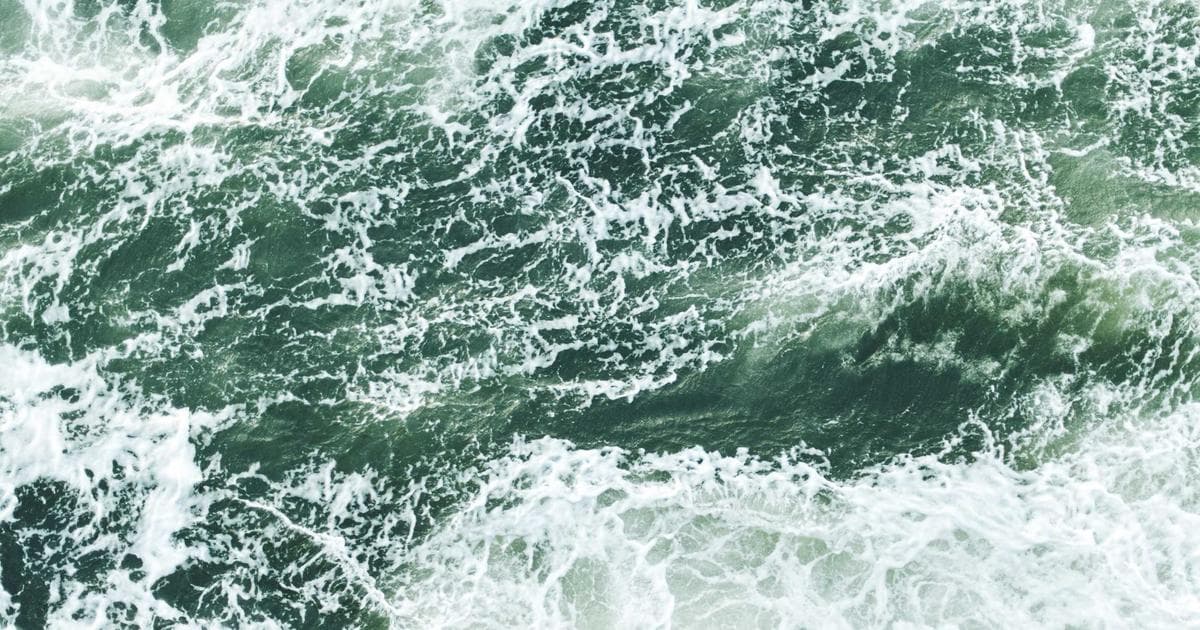 Cognitive Longevity: How Intellectual Habits and the MIND Diet Shield the Aging Brain