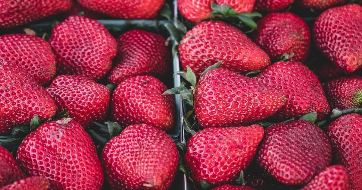 Joby Aviation Shares Surge as Uber Integrates Air Taxi Bookings into App