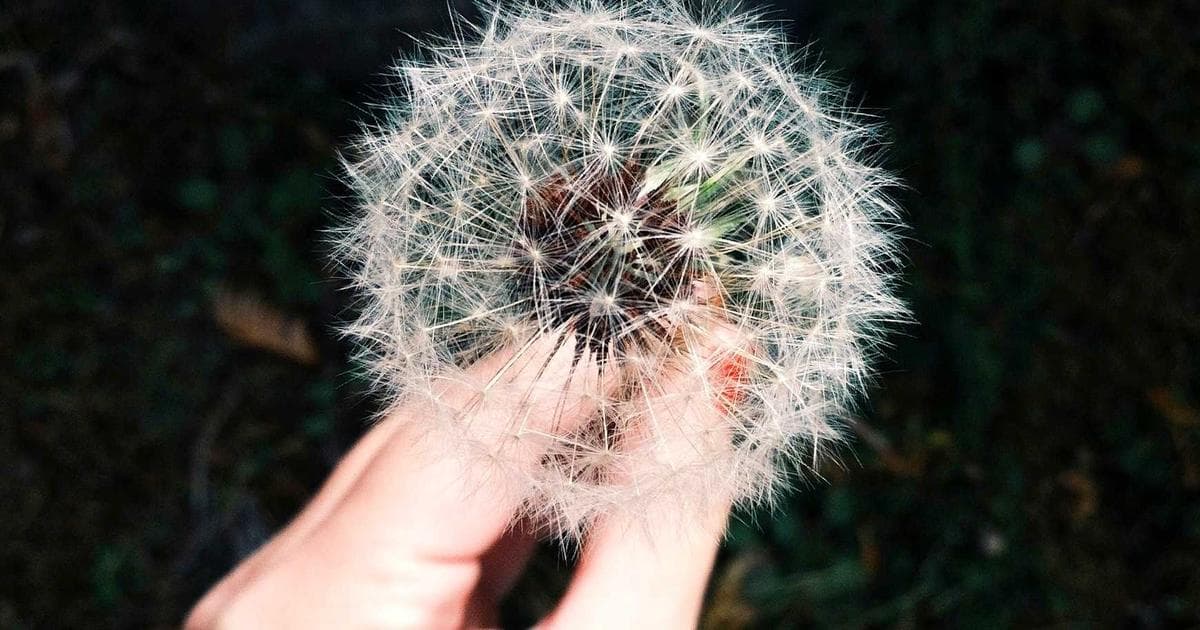 Rolex Establishes Elite Watchmaking College in Dallas to Combat National Artisan Shortage