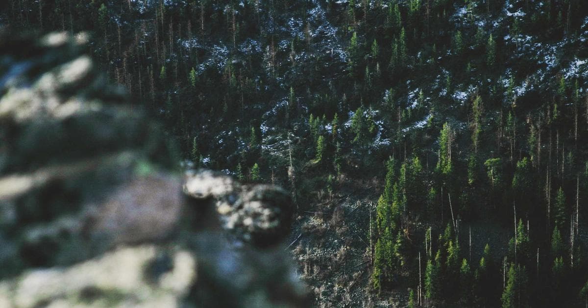 Structural Vulnerabilities at Grand Renaissance Dam Pose Risk to Downstream Communities, Study Warns